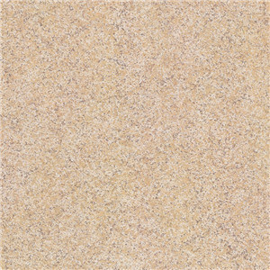 Non-Slip Rustic Tile\Ceramic Kitchen Floor Tile (6W004)